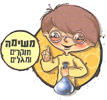 (נועם אומר:)אני מעדיף לארגן מידע בתרשימים כי כך רואים טוב יותר את הקשר בין המושגים